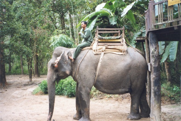 Transport at Chitwan [1/11/99]