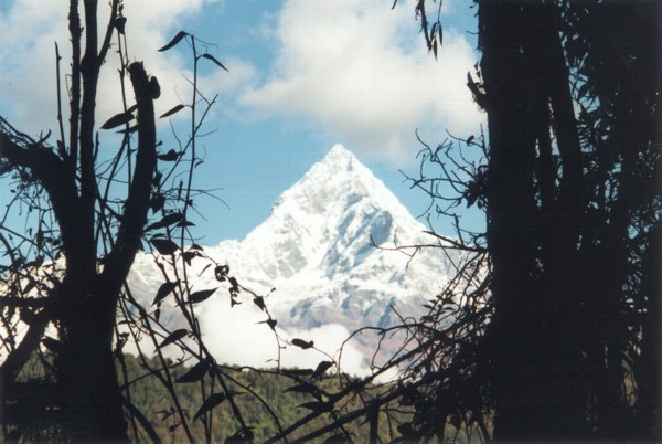 Machhapuchre (fish-tail) [22/10/99]