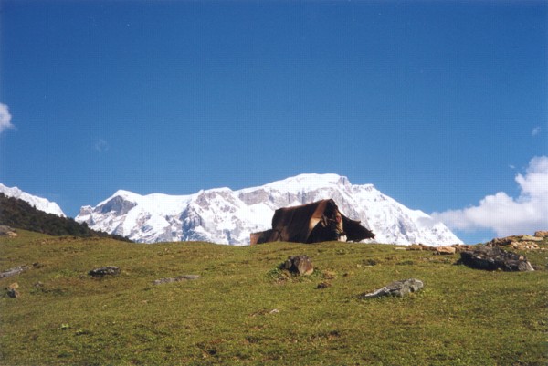 Lamjung Himal [23/10/99]